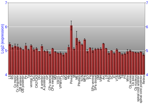 Expression graph
