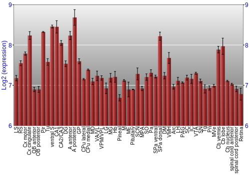 Expression graph