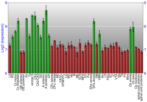 Multi-state expression graph