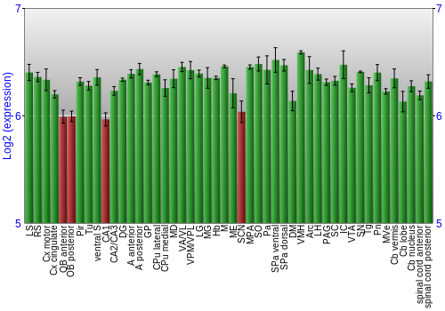 Multi-state expression graph