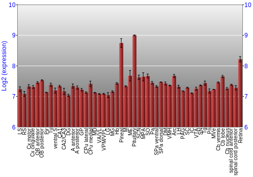 Expression graph