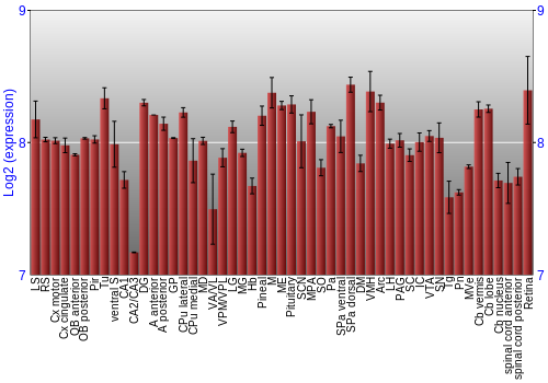 Expression graph