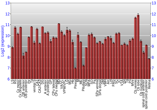 Expression graph