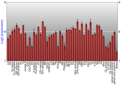 Expression graph