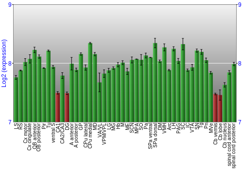Multi-state expression graph