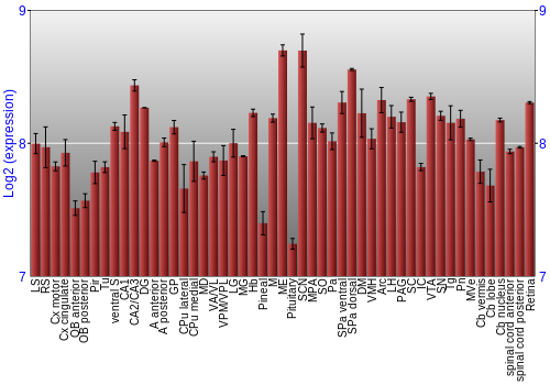 Expression graph