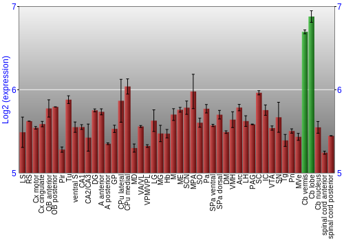 Multi-state expression graph