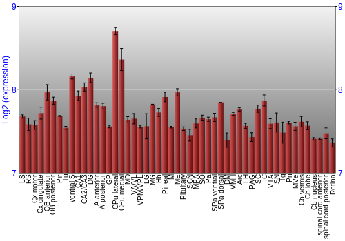 Expression graph