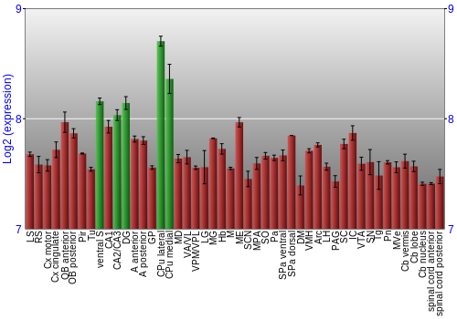 Multi-state expression graph