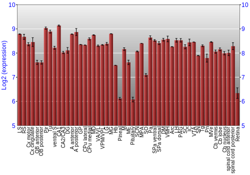 Expression graph
