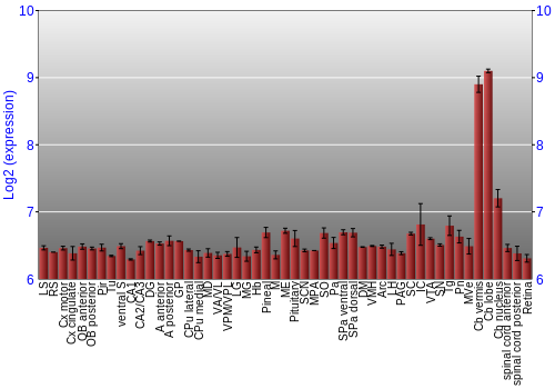 Expression graph