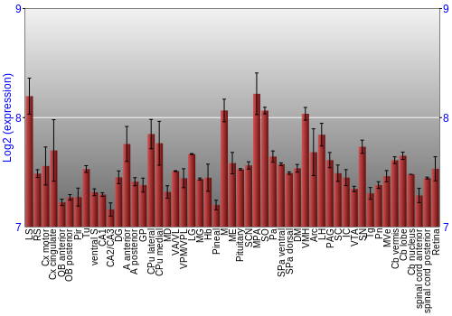 Expression graph