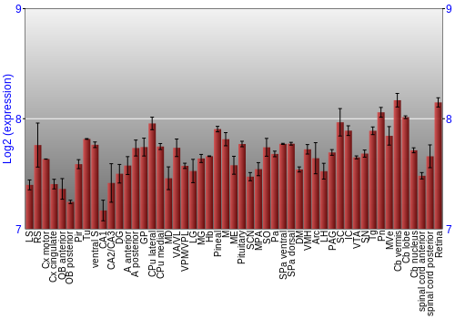 Expression graph