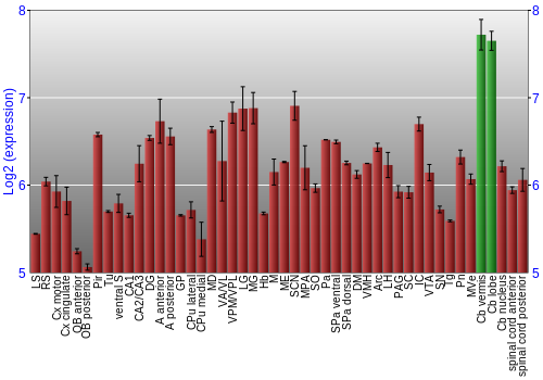 Multi-state expression graph
