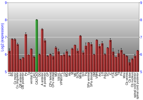 Multi-state expression graph