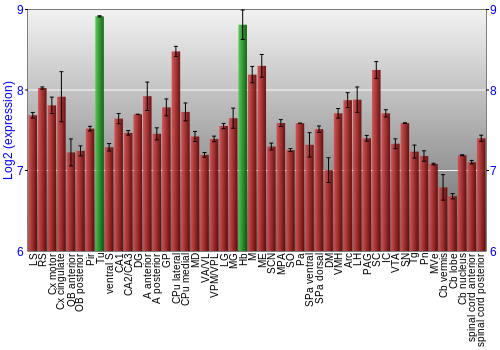 Multi-state expression graph