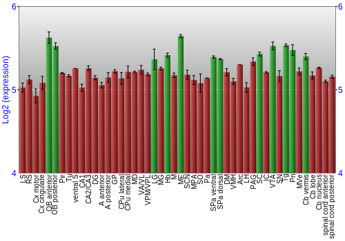 Multi-state expression graph