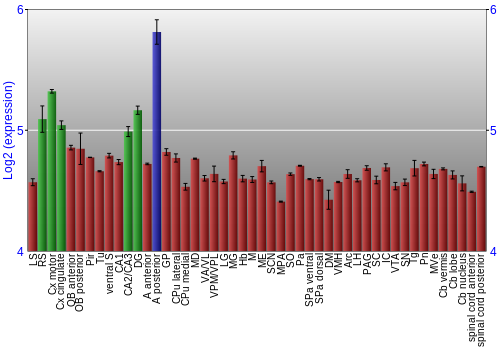 Multi-state expression graph