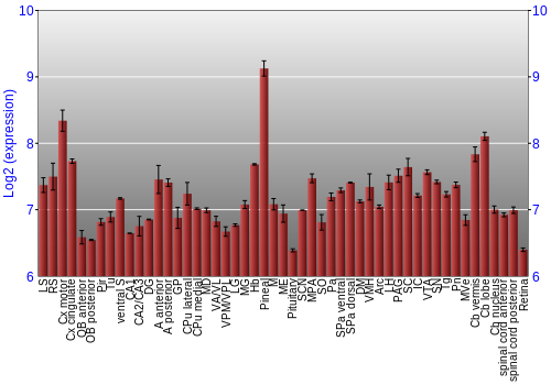 Expression graph