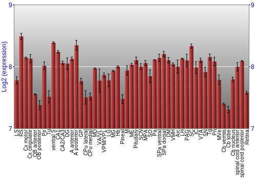 Expression graph