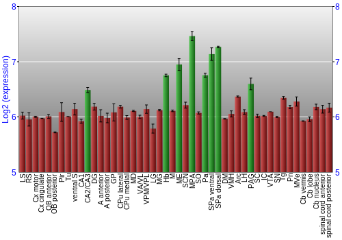 Multi-state expression graph