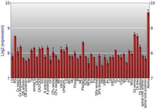 Expression graph