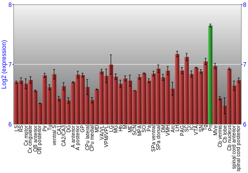 Multi-state expression graph