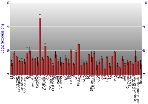 Expression graph