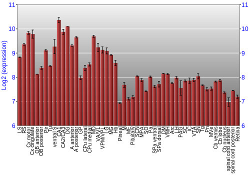 Expression graph