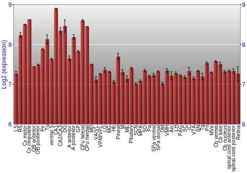 Expression graph