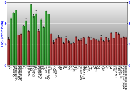 Multi-state expression graph