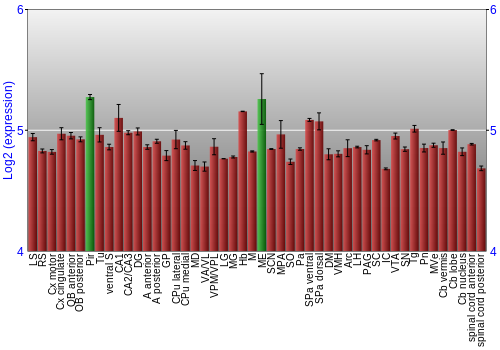 Multi-state expression graph