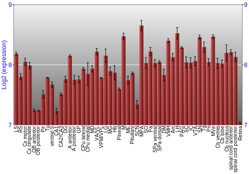 Expression graph
