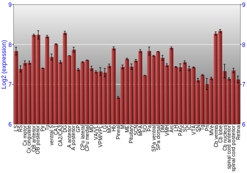 Expression graph
