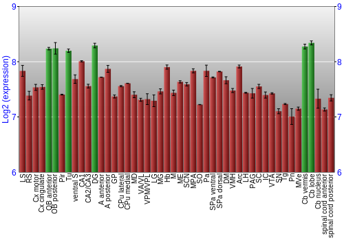 Multi-state expression graph