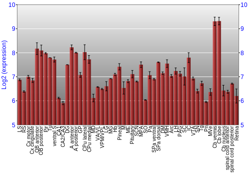 Expression graph