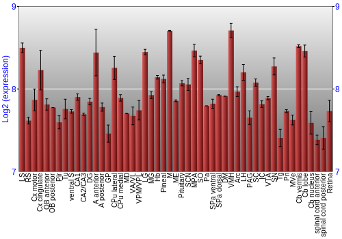 Expression graph