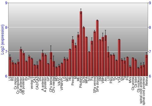 Expression graph