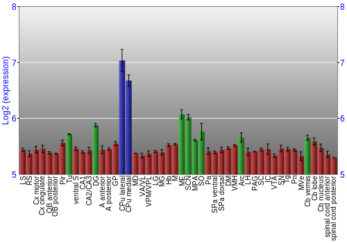 Multi-state expression graph