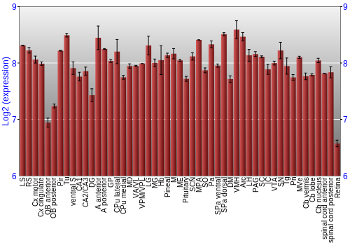 Expression graph
