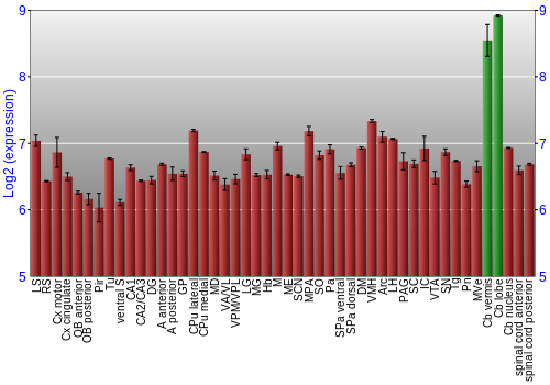 Multi-state expression graph