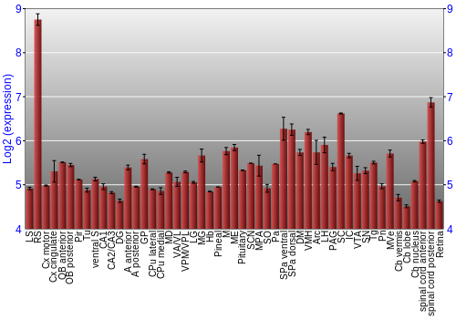 Expression graph