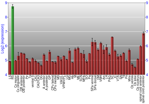 Multi-state expression graph