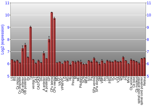 Expression graph