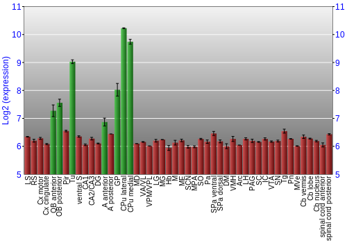 Multi-state expression graph