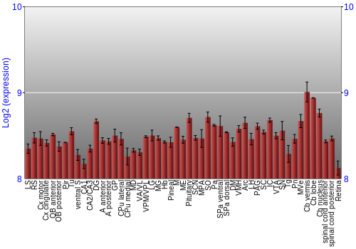Expression graph