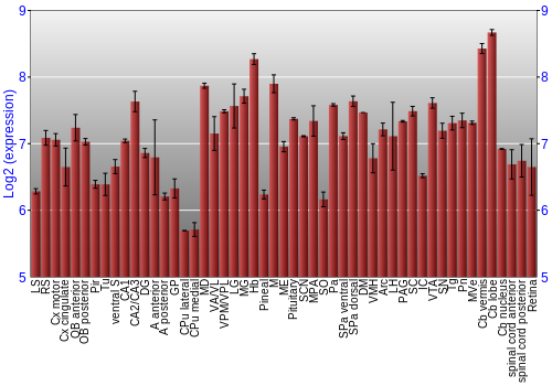 Expression graph