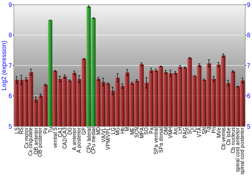 Multi-state expression graph
