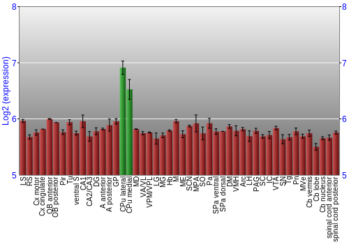 Multi-state expression graph