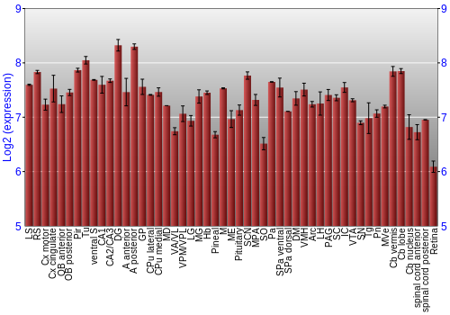 Expression graph